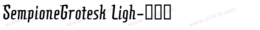 SempioneGrotesk Ligh字体转换
